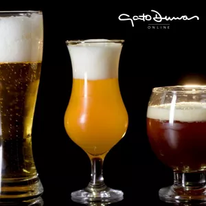 Imagen de portada para Curso online Introducción a la Cerveza