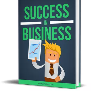 Cover image for Ebook Success in Business - Private Label Rights