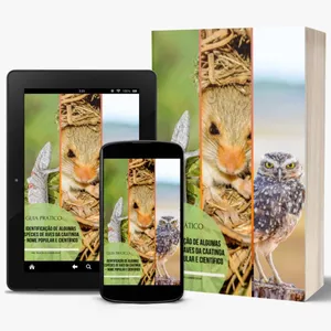 Imagem de capa para o Ebook Guia de Identificação de Aves
