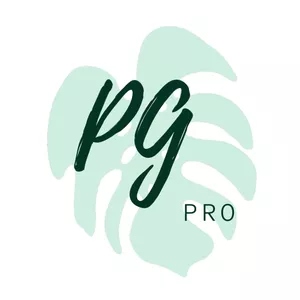 Imagem de capa para o Curso online Curso Online de Porta Guardanapos Pro