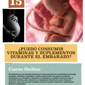 Imagen de portada para Ebook El Embarazo con Vitaminas