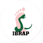 IBRAP Educação