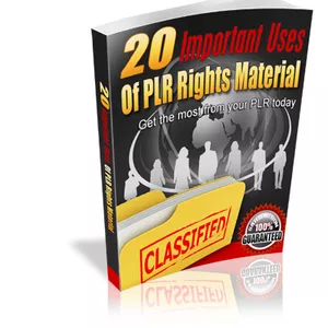 Cover image for Ebook 20 Important Usesof PLR Rights Material