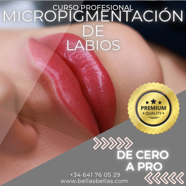 Micropigmentacion de labios Cursos Profesional