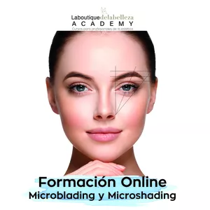 Imagen de portada para Curso online Formación Microblading y shading