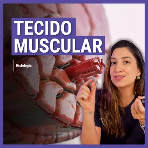 Imagem de capa para o Ebook Apostila Tecido Muscular. Material de Apoio aulas Youtube.