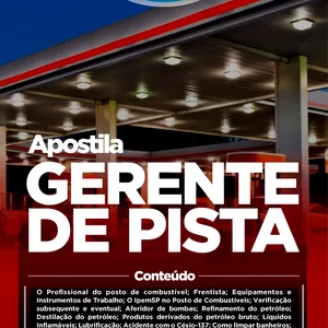 Imagem de capa para o Ebook Ebook Gerente de Pista