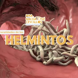 Imagen de portada para Curso online Parasitología Veterinaria: HELMINTOS