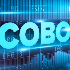 Imagem de capa para o Ebook Introdução ao Cobol