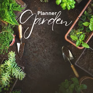 Imagem de capa para o Ebook Planner Mãos da Terra 