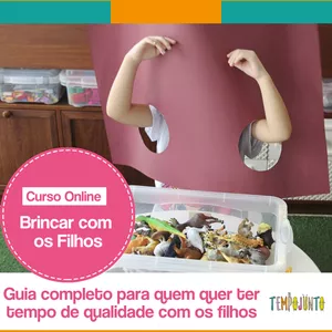 Imagem de capa para o Curso online Programa: Brincar com os Filhos