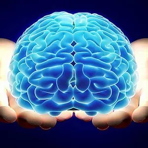 Imagem de capa para o Ebook 5 passos para deixar a mente humana mais rapida