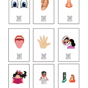 Imagem de capa para o Ebook Desvendando os 5 Sentidos