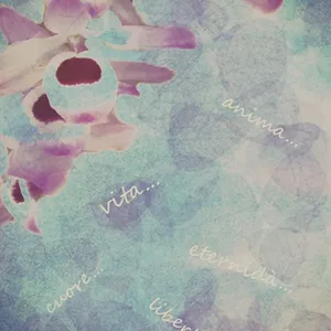 Cover image for Ebook Gocce D'Amore