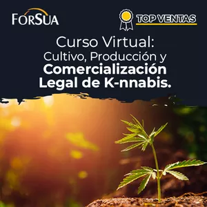 Imagen de portada para Curso online Cultivo, Producción y Comercialización de K-nnabis