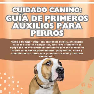 Imagen de portada para Curso online CUIDADO CANINO: GUÍA DE PRIMEROS AUXILIOS PARA PERROS