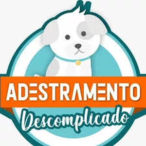 Imagem do curso Academia Adestramento Descomplicado 
