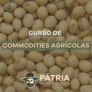 Imagem de capa para o Curso online CURSO DE COMMODITIES AGRÍCOLAS​