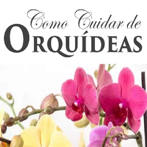 Imagem de capa para o Ebook Manual Como Cuidar de Orquídeas 