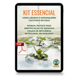 Imagem de capa para o Ebook [Morangos] Livro Digital | 2 unidades | Como adubar o morangueiro em solo + Manual prático para identificação de sintomas visuais de deficiência nutricional em morango