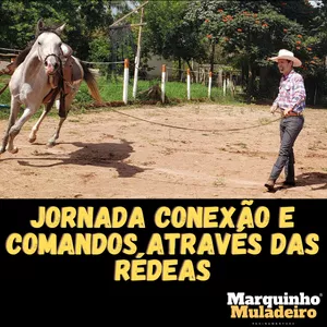 Imagem de capa para o Curso online JORNADA CONEXÃO E COMANDOS ATRAVÉS DAS RÉDEAS