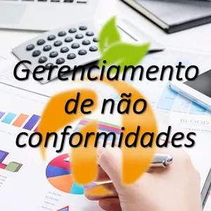 Imagem de capa para o Curso online Treinamento Gestão de Não Conformidades