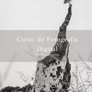 Imagem de capa para o Ebook Curso de Fotografia Digital - Por Vinícius Tripode
