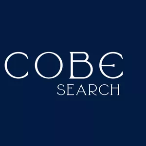 Imagem de capa para o Curso online Cobe Search