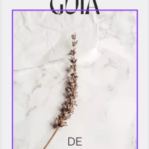 Imagen de portada para Ebook Guia de Estudios