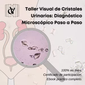 Imagen de portada para Curso online “Visual de Cristales Urinarios: Diagnóstico Microscópico Paso a Paso”