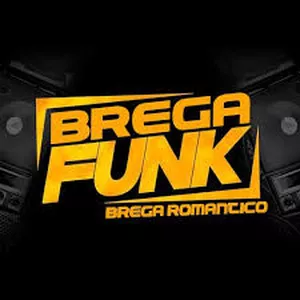 Imagem de capa para o Ebook A HISTORIA DO BREGA-FUNK 