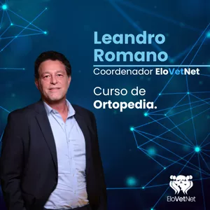 Imagem de capa para o Curso online Curso Ortopedia