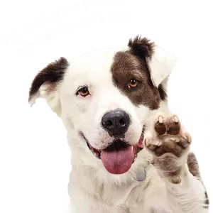 Imagem de capa para o Ebook 7 Comandos Rápidos e Fáceis de Aprender