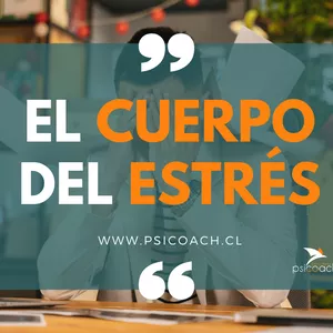Imagen de portada para Curso online El Cuerpo del Estrés