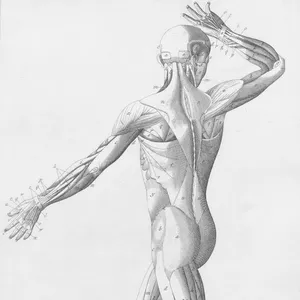 Imagen de portada para Ebook Como aliviar mi dolor de espalda lumbar ?