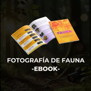 Imagen de portada para Ebook Ebook Fotografía de Fauna