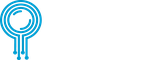 Digital Audit Pros