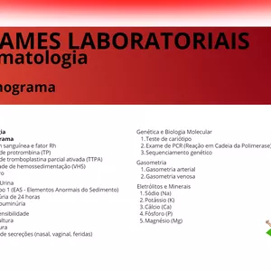 Imagem de capa para o Ebook 01. Interpretação do Hemograma