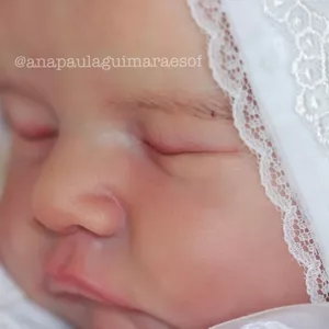 Imagem do curso Academia Reborn Master Class