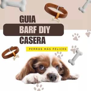 Imagen de portada para Ebook Guia BARF Casera DIY 