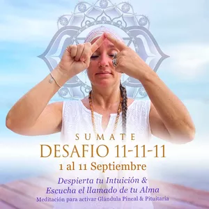 Imagen de portada para Evento online Desafío 11-11-11. Meditación para activar la Glándula Pineal &amp; Pituitaria.