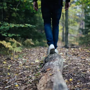 Imagen de portada para Curso online Equilibra tus emociones: Aprende a gestionarlas de manera saludable