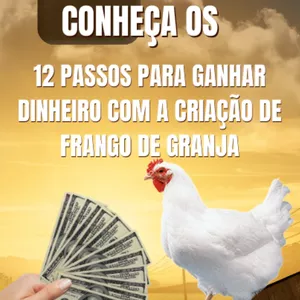 Imagem de capa para o Curso online 12 passos para ganhar dinheiro com a criação do frango de granja