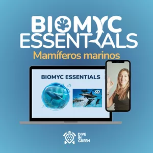 Imagen de portada para Curso online BIOMYC ESSENTIALS: Mamíferos Marinos