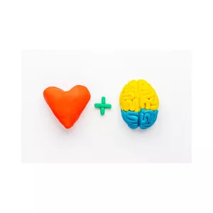 Imagen de portada para Curso online Taller de Educación Emocional para la Autogestión de tus Emociones