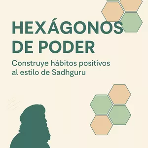 Imagen de portada para Curso online Hexágonos de Poder: Construye hábitos positivos al estilo de Sadhguru