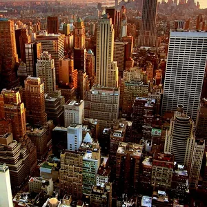 Imagem de capa para o Ebook Entendendo a Bolsa