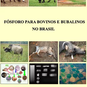 Imagem de capa para o Ebook Fósforo para bovinos e bubalinos no Brasil