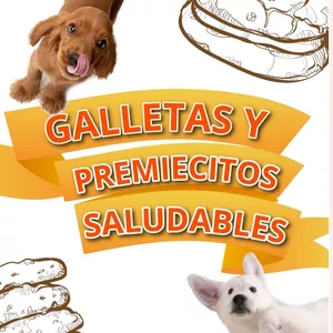 Imagen de portada para Ebook Premios para Mascotas 