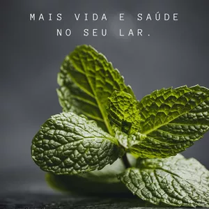 Imagem do curso Curso de Farmácia Herbal Doméstica